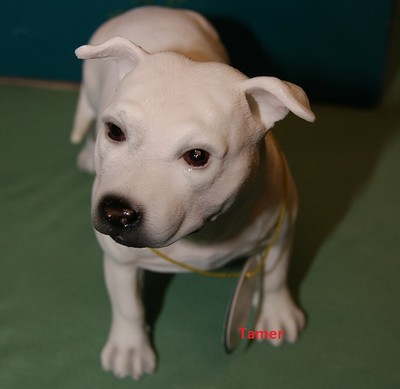 Illustrazioni Di Staffordshire Bull Terrier Illustrazioni E Vettori - Foto 13