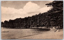 Sand Beach Eco Lake Crooning Pines Warrensburg Nueva York NY Albertype postal