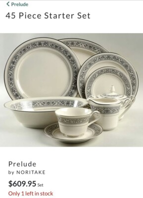 1970 s Platinum Rim Noritake China  Prelude  Vintage Pattern 45 Pc Service for 8