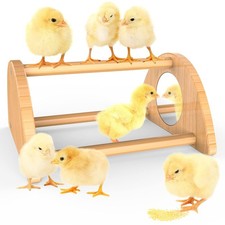 Mini Chick Perch with Mirror, Strong Bamboo Roosting Bar for coop and brooder...