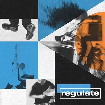 Vinile - Regulate - Regulate (Silver Vinyl)  - Flatspot Records -D- Neu