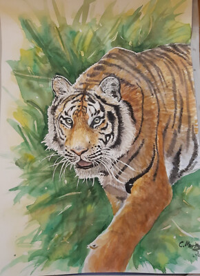 Original Watercolour, Aquarell ,,Tiger!'', Wildlife Art by Catrin Maske