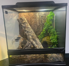 Reptile enclosure with hood and lights and whole pre built insides.