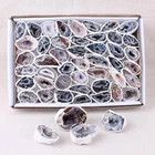 100% Lovely Natural Agate Mineral Specimen Cut Agate Geode "Cornucopia"