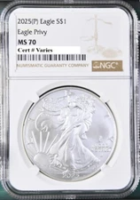2025 p silver eagle with eagle privy ngc ms70 brown label   in hand