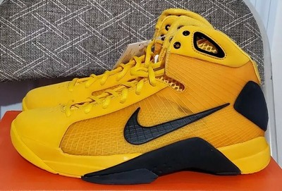 nike hyperdunk 2007