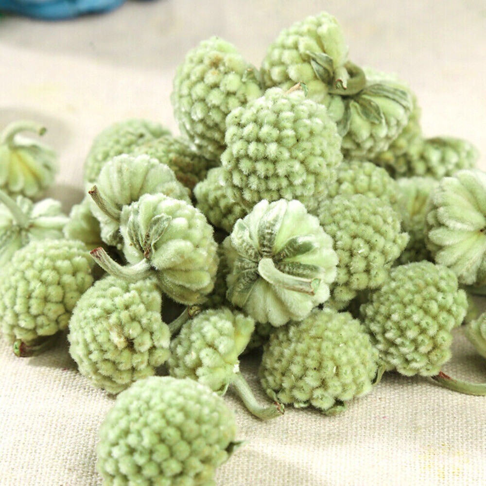 Wild Scindapsus Aureus Himalayan Herbal Tea Natural Tibetan Blend