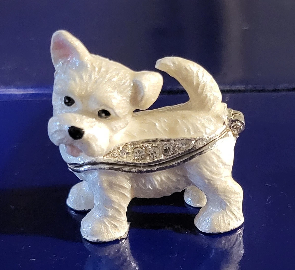 Miniature westie 2025
