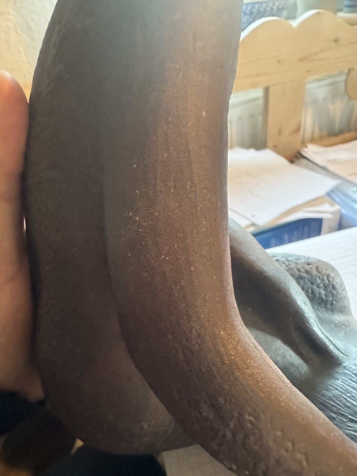 Bild 3 von 19