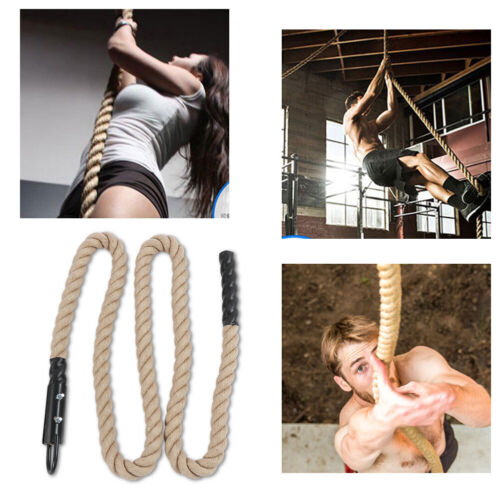 1pc 300cm Arm Power Training Rope Indoor Fitness Equipment For Climbing Rolling - Picture 1 of 12