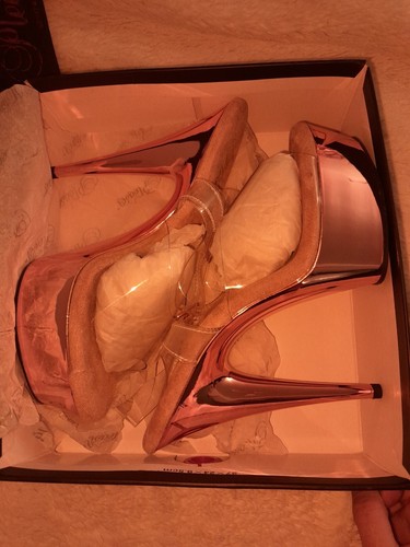 Pleaser DELIGHT-608. Ankle Strap 6" Heel Platform Sandal. Rose Gold Chrome - Picture 12 of 14