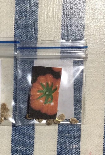 Tomato (Rouge De Marmande) 270+ Seeds (Solanum) Instructions Included x - Picture 4 of 8