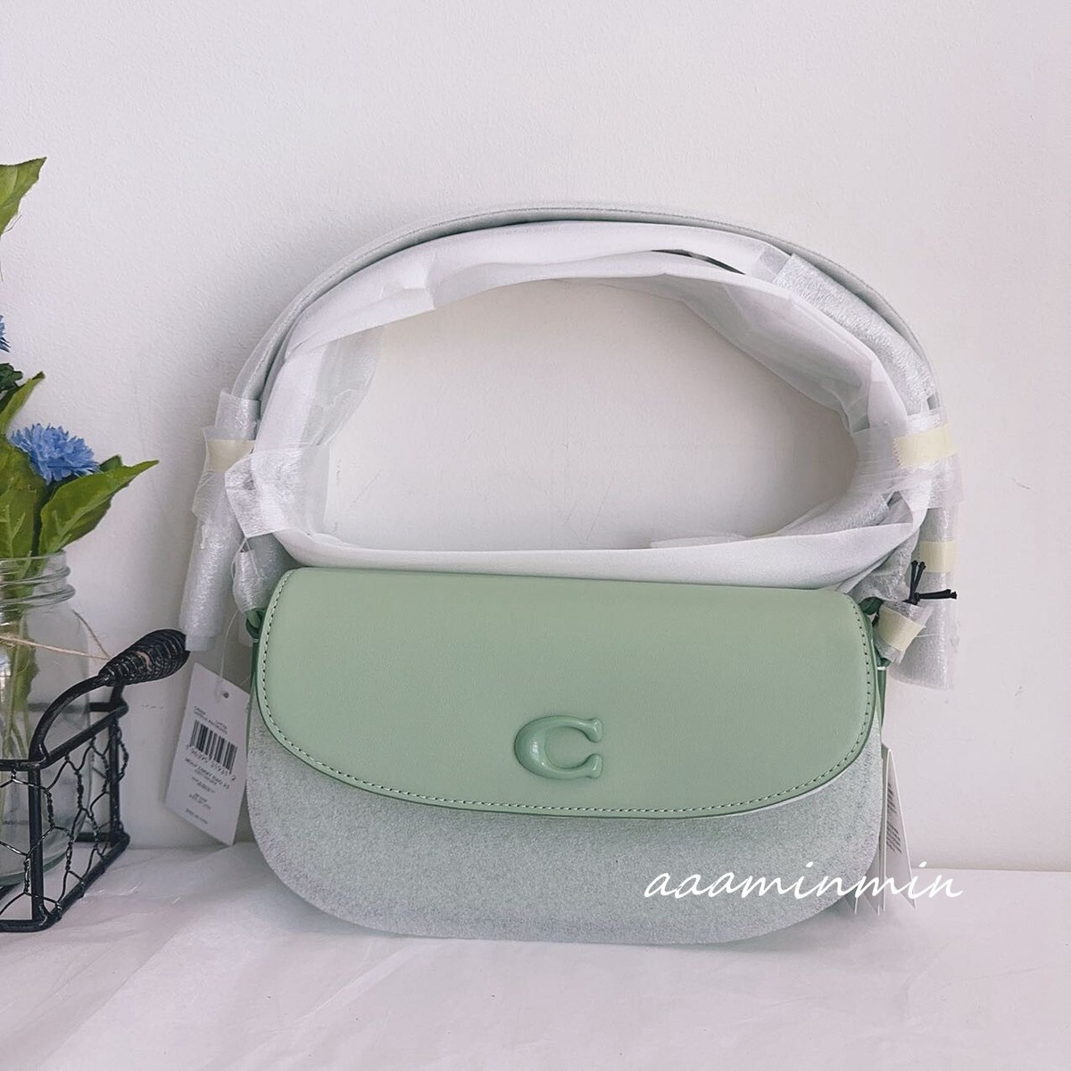 NWT Coach Emmy Saddle Bag 23 CR666 Silver/Pale Pistachio | eBay