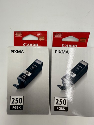 2 Canon PGI-250PGBK Genuine Black Ink Cartridge (6497B001) - 第 1/6 張圖片