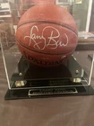 Larry Bird Autographed Spalding In/Outdoor Basketball COA Hall of Fame Authentic