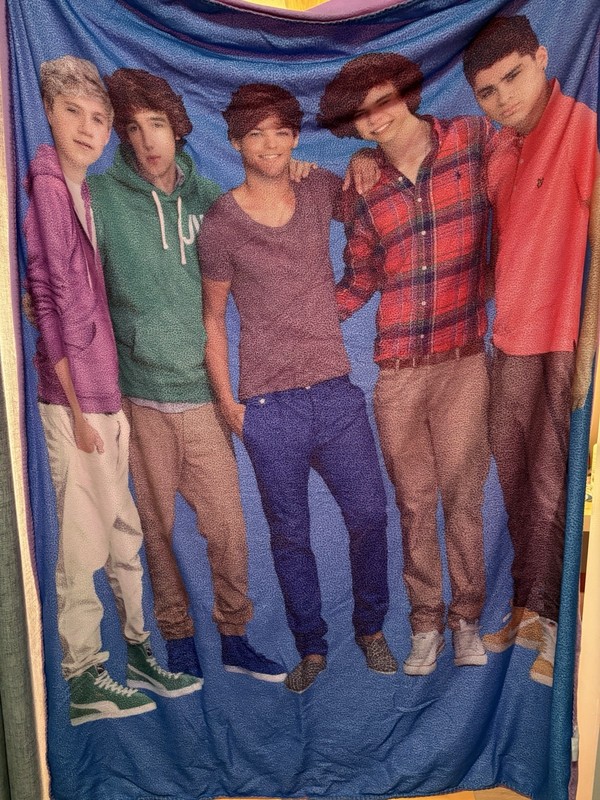 One Direction 1D 2013 Boy band Y2K Pre Owned Blanket