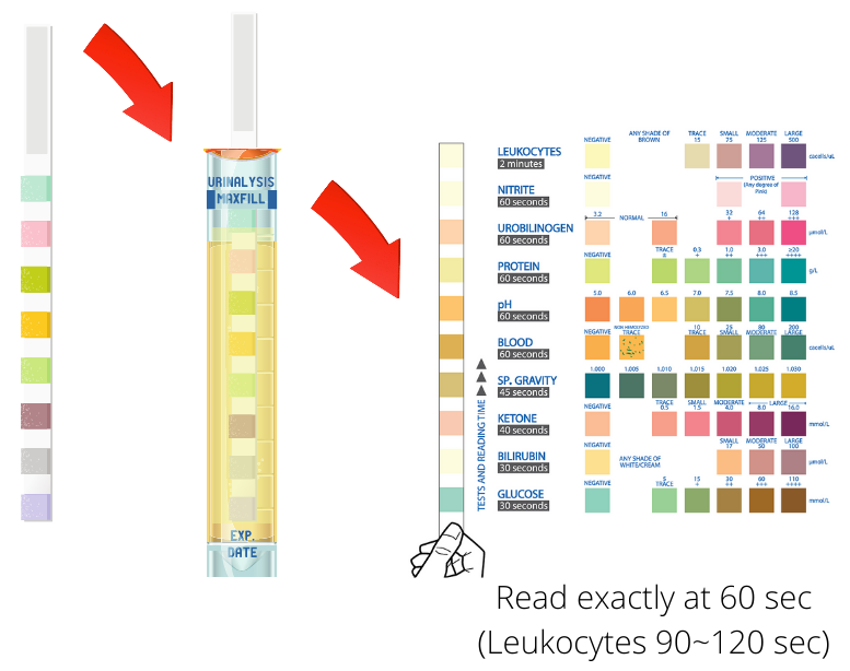 Urine test strips for kidney, liver, UTI testing. Choose Quantity eBay