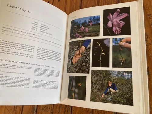 The Native Orchids of the United States and Canada 1972 hc Carlyle A. Luer First - Picture 10 of 22