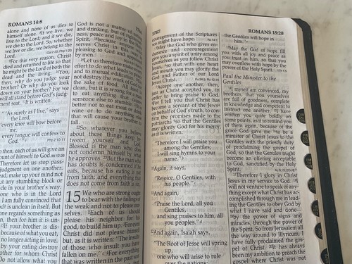 NIV Large Print Reference Bible 1986 Black Bonded Leather 1984 - Picture 14 of 16