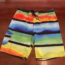 Hang Ten Mens Green Rainbow Board Surf Swim Shorts Size 36 Trunks Exc. Condition