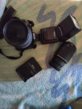 Nikon digital SLR (DSLR) camera body with a Sigma telephoto zoom lens...