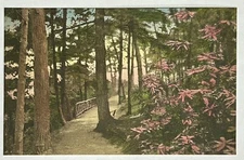Sulphur Hill Park. Hand Colored. White Sulphur Springs West Virginia Postcard WV