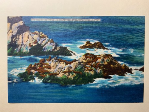 Vintage Linen Postcard Seal Rocks Near Cliff House San Francisco CA ...