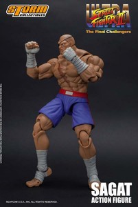 sagat storm collectibles