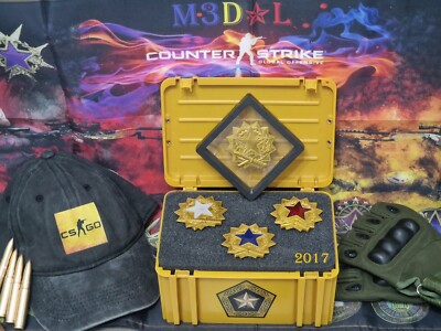 CS GO Game Counter Strike 2017 Service Medal Collectable REAL 3D