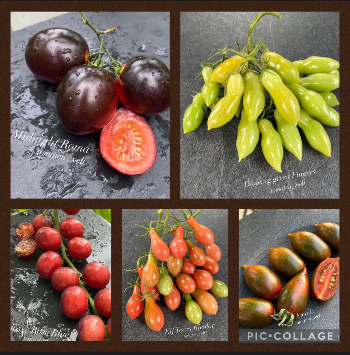 Juego de tomates 4•Cherry•Multiflora •Roma• ¡¡¡Oferta primavera!!! 20% de descuento