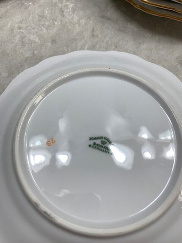 Johann Haviland Moss Rose Garland Bavaria Germany, set of 6, 6" Dessert plates - Picture 3 of 3