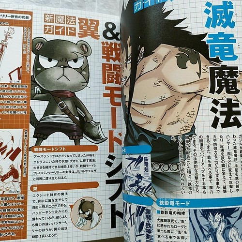 Hiro Mashima Monthly Fairy Tail Magazine vol.6 W/ Poster & Stickers 1st edition - Picture 8 of 12