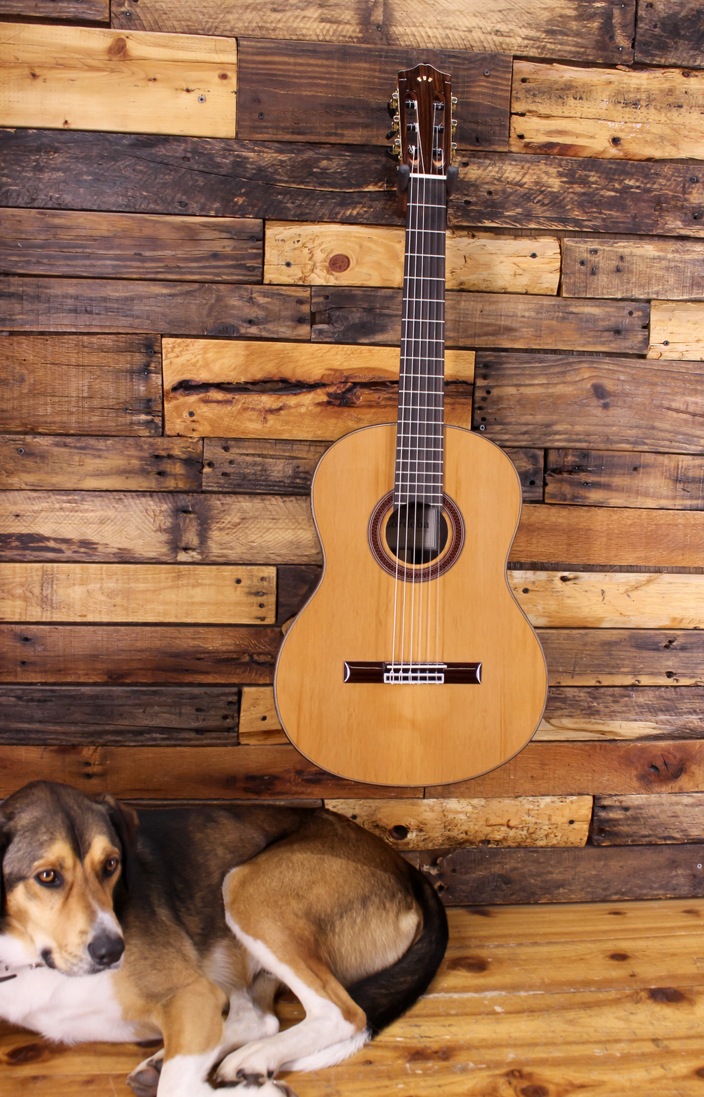Cordoba C7 CD Classical Acoustic Guitar Natural BLEMISH eBay