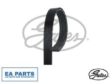 V-Ribbed Belts for ALFA ROMEO CHEVROLET CADILLAC GATES 5PK940