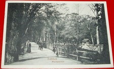Lübben 1913 Hainpartie belebt Dahme-Spreewal...