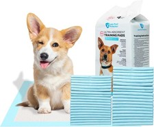 FPN Pee Pads Scented Blue Pet Pads for Dogs Wee Wee Pee Pads All Sizes  Pack