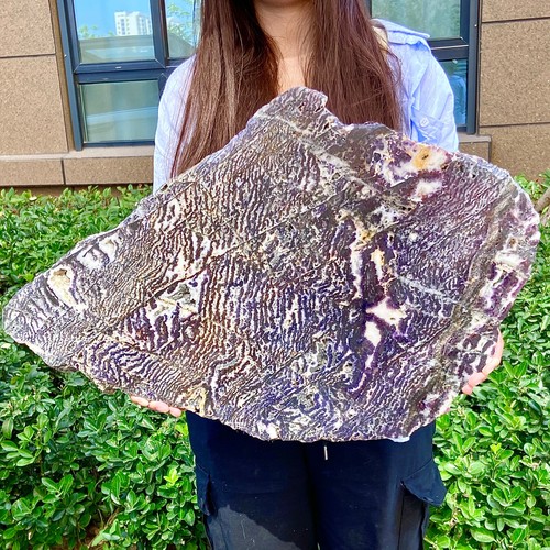 12.1LB Rare Zebra Stone Slices - Soul Healing Stone - Unique Discovery - 第 9/12 張圖片