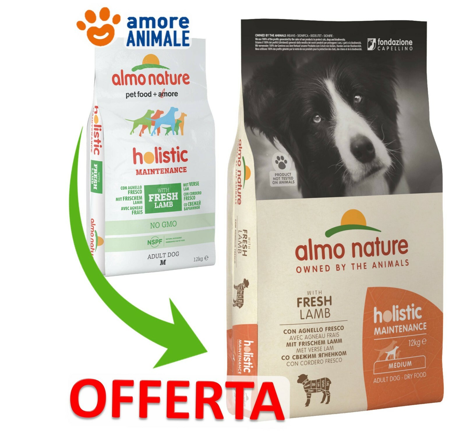 Almo Nature Dog Holistic Medium Adult Agnello e Riso 12 Kg - Crocchette x Cani