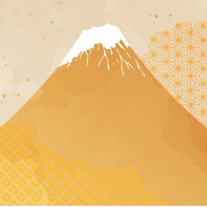 NW Japanese store | eBay Stores