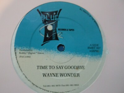 Time To Say Goodbye/Wayne Wonder/Blue Mountain Records/12'' Single/Lovers Rock