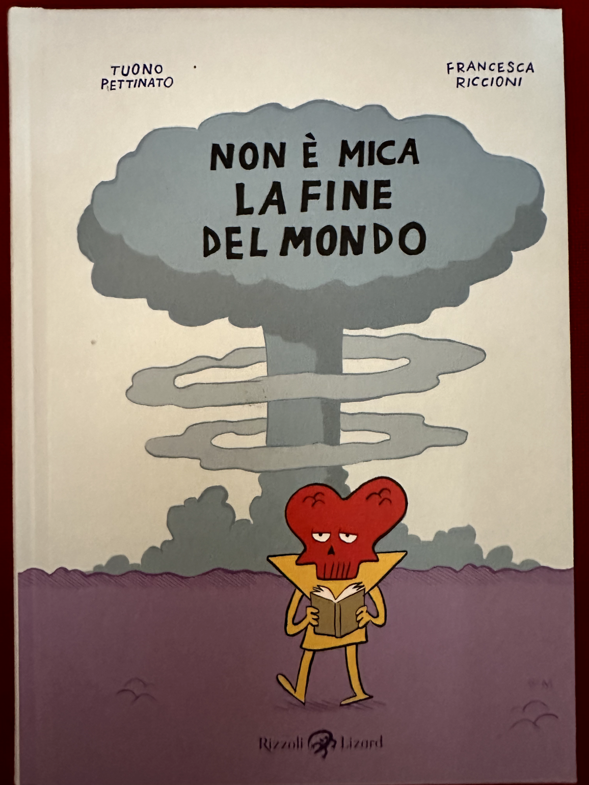 NON E' MICA LA FINE DEL MONDO di TUONO PETTINATO/F. RICCIONI Rizzoli sconto 15%*