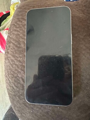 Apple iPhone 15 Pro Max - 256 GB - White (Unlocked)
