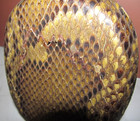 Sanxian Chinese Three String Lute Shamisen, Sanshin Snakeskin Hand Carved Bat — photo 3
