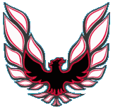 1973 - 1978 TRANS AM COMPLETE DECAL KIT GREEN W/ 1 PC HOOD BIRD - GM LICENSED - Bild 9 von 11