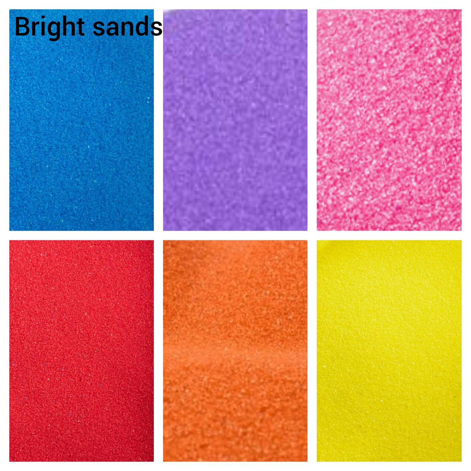 Medium Terrarium Kit DIY eBay