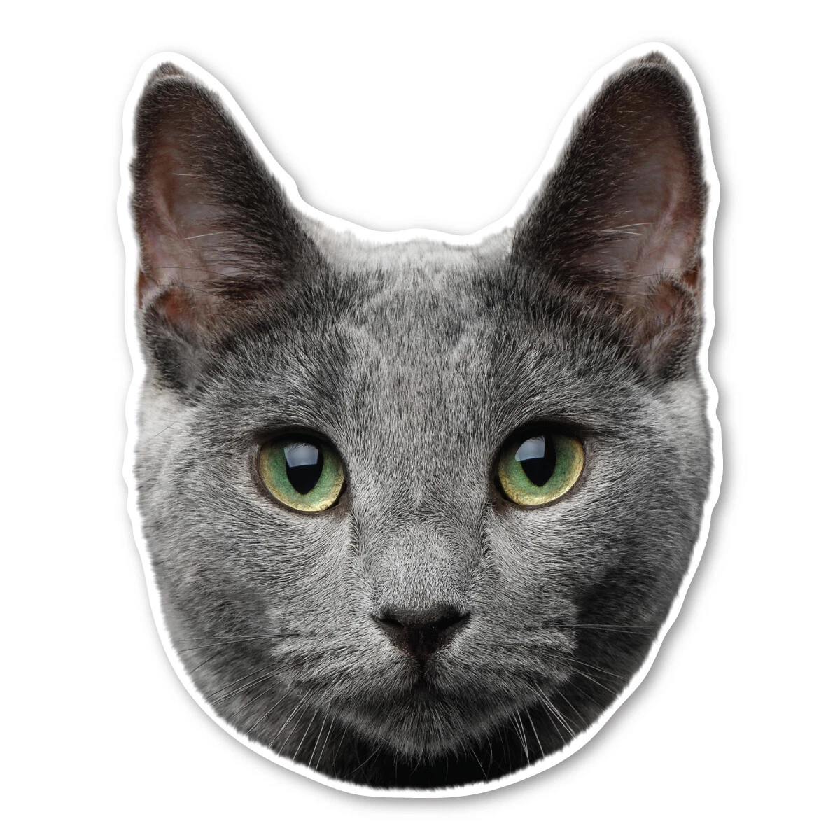 Collectible Cat Magnets for sale | eBay