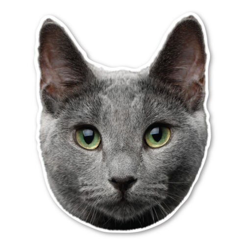 Russian Blue Cat Magnet - Afbeelding 1 van 1