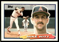 Mike Witt