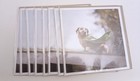 DACHSHUND SUPER HERO DOG CARDS, LOT OF 8, ORIGINAL RETAIL = $39.60 — photo 6