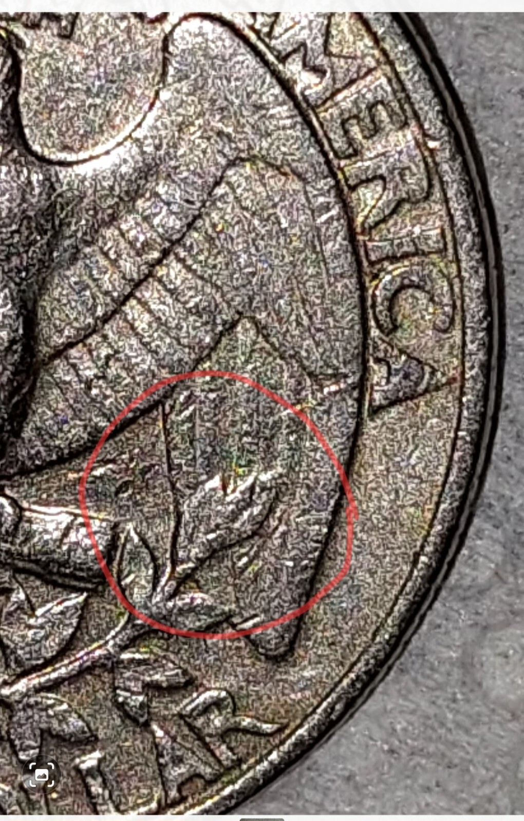 Picture 4 of 13